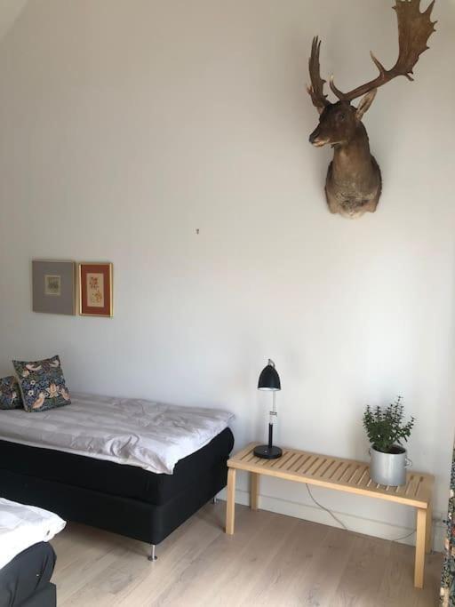 Cozy, Quiet Guest House Perfect For Business Or Pleasure Гіллеред Екстер'єр фото